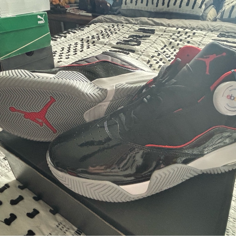 Jordan Flights - Picture 3 of 5